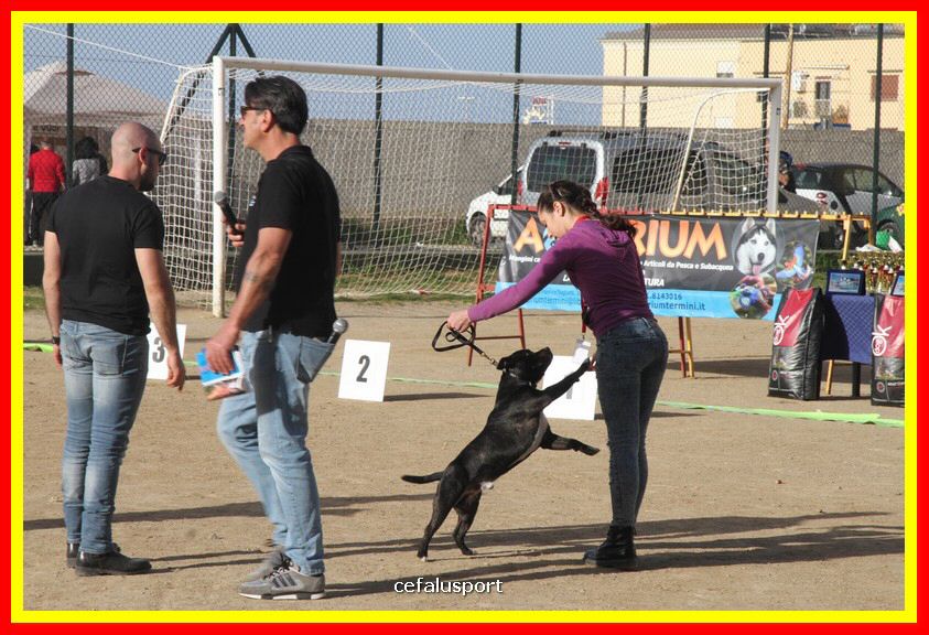 180311 mostra_canina 188.jpg